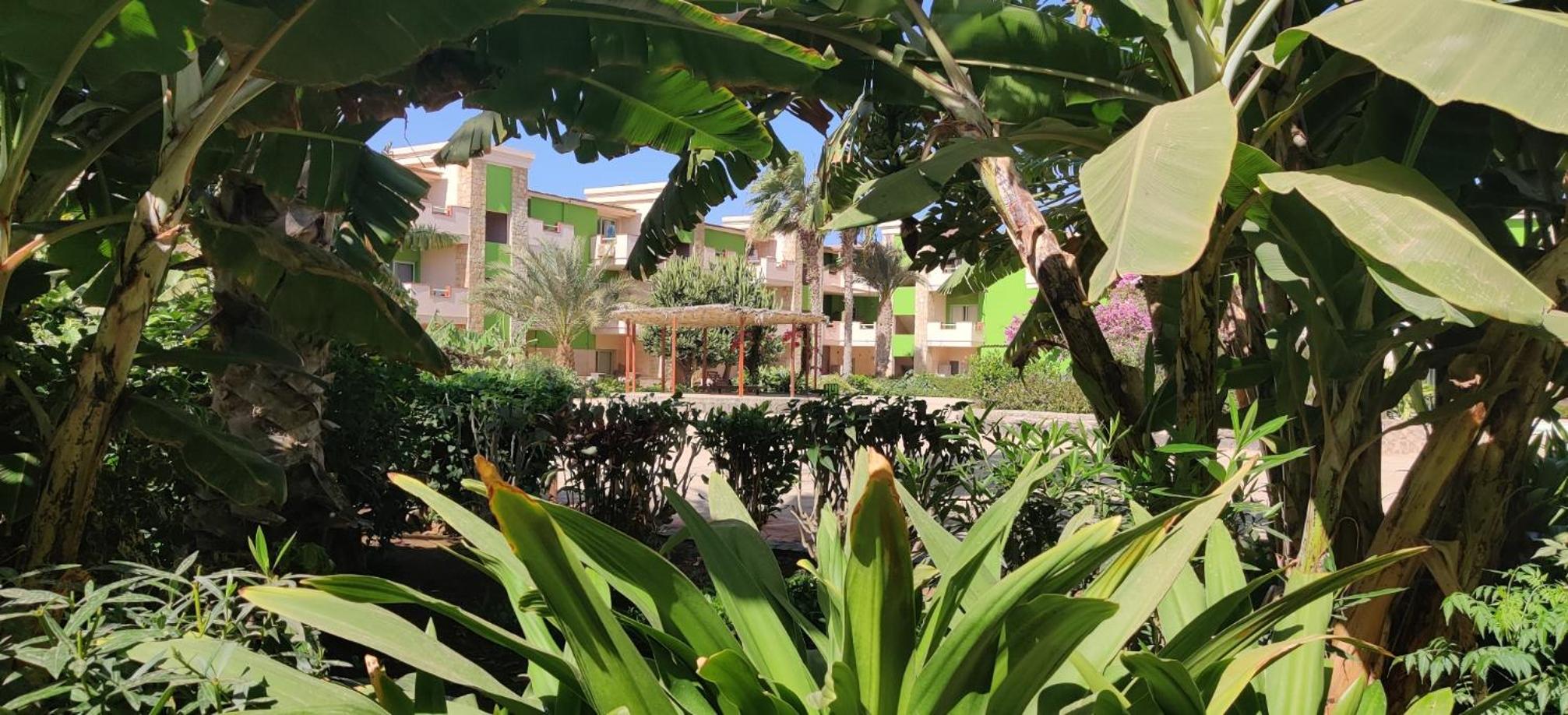 Perfect oasis in Paradise