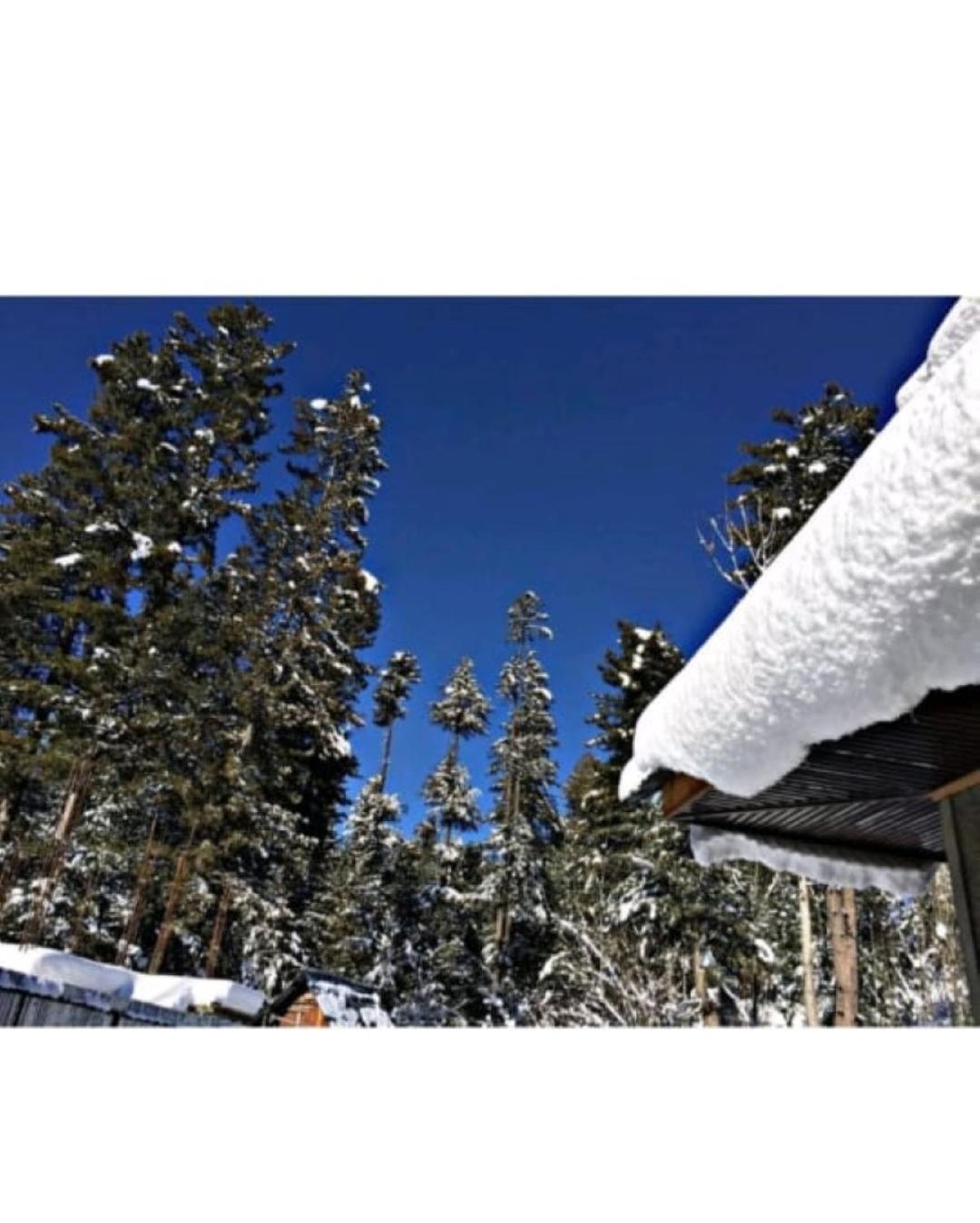 Sheraz Guest House , Tangmarg view 4