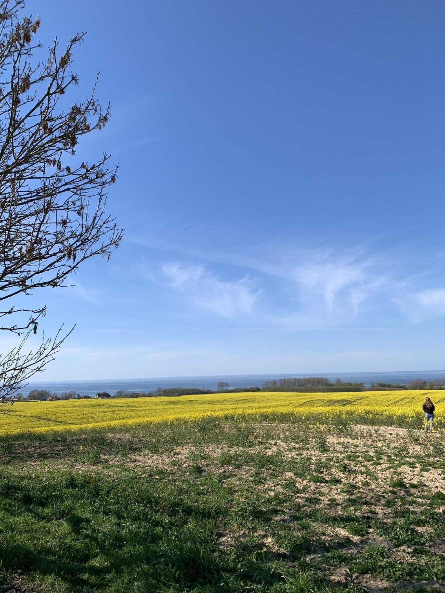 Ferienwohnung 'an der Ostsee'