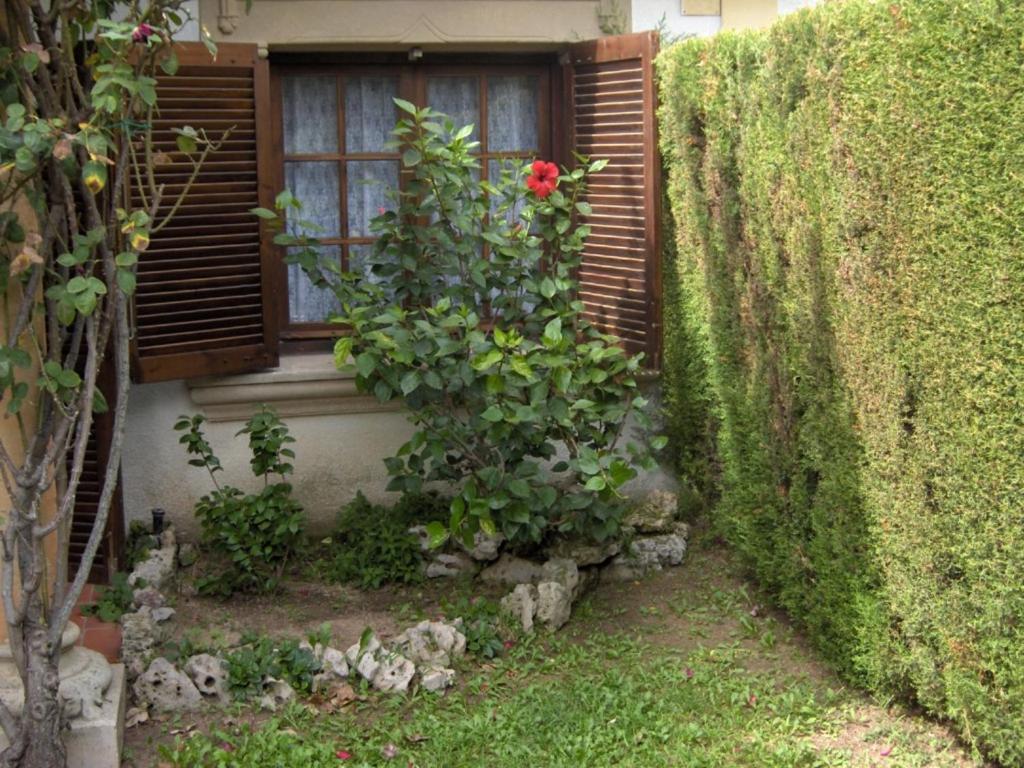Villa Consuelo