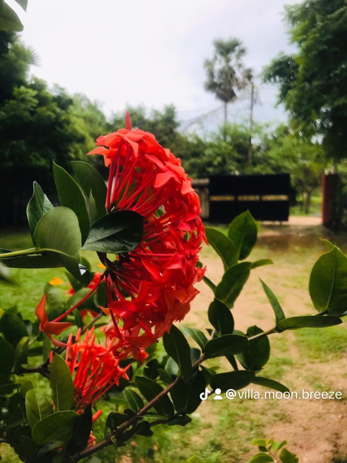 Villa Moon breeze Nilaveli