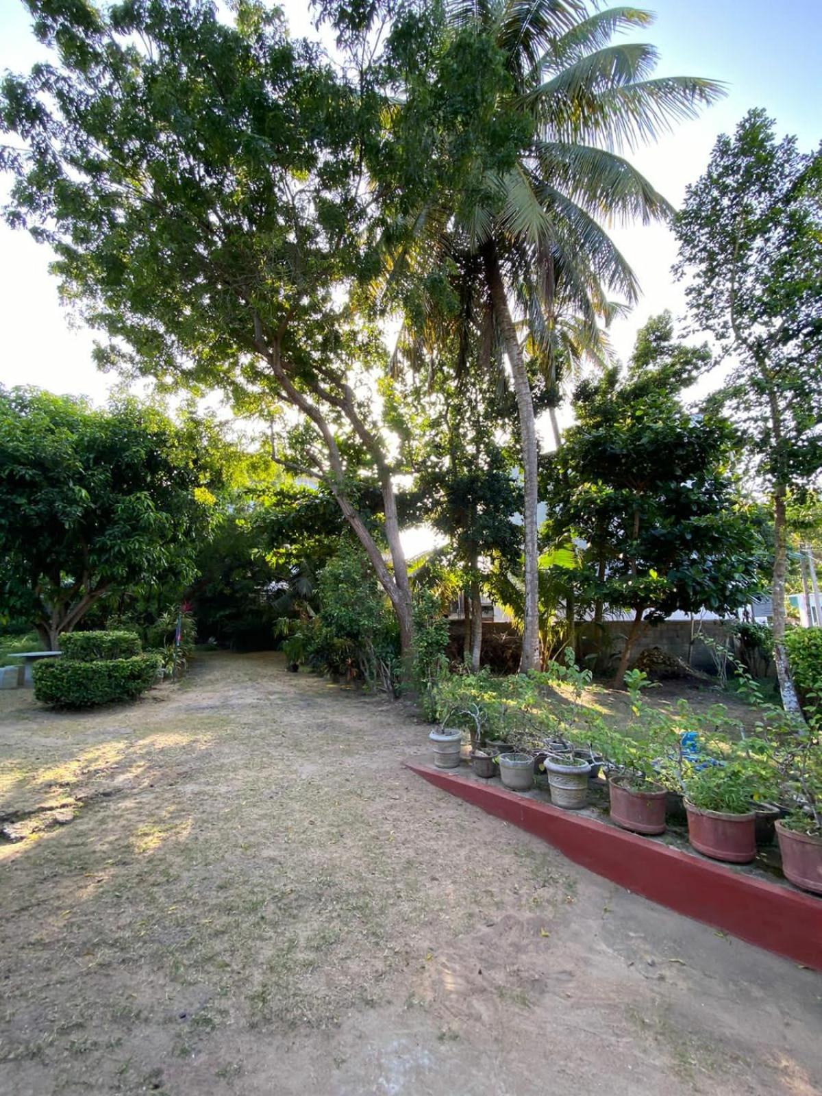 Photo 28