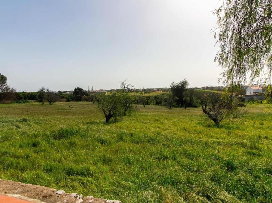 Casa da Colina - Privat Pool & BBQ & Privacy