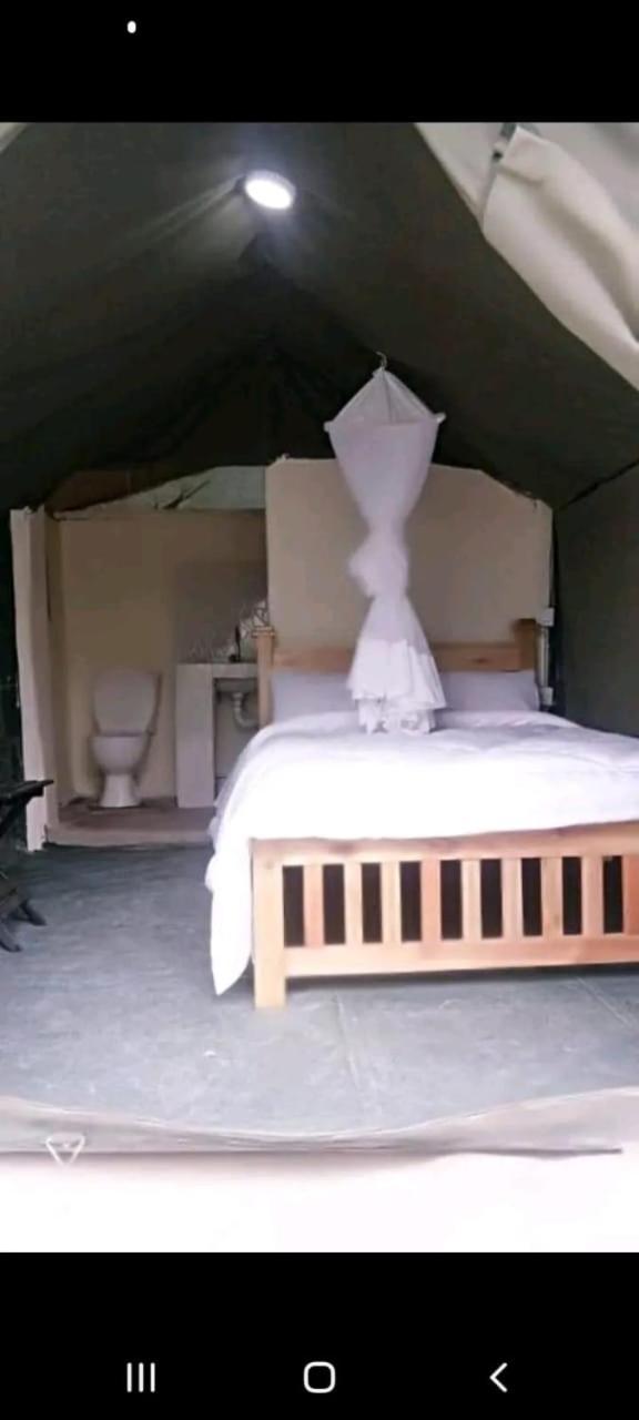 Elephant trails camp