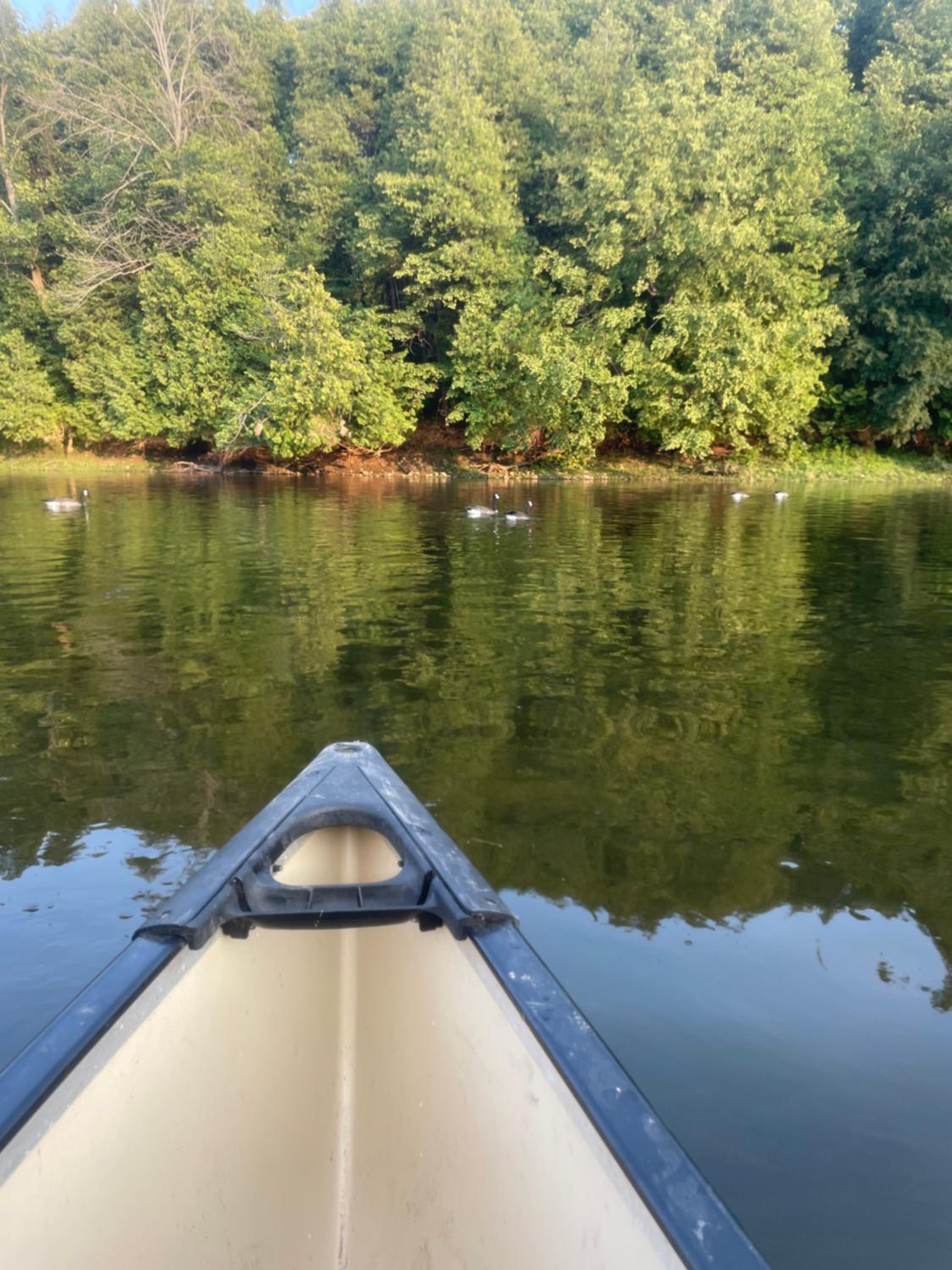 Kitchener Vacations - Cozy Cottage Style House - Property Image 36