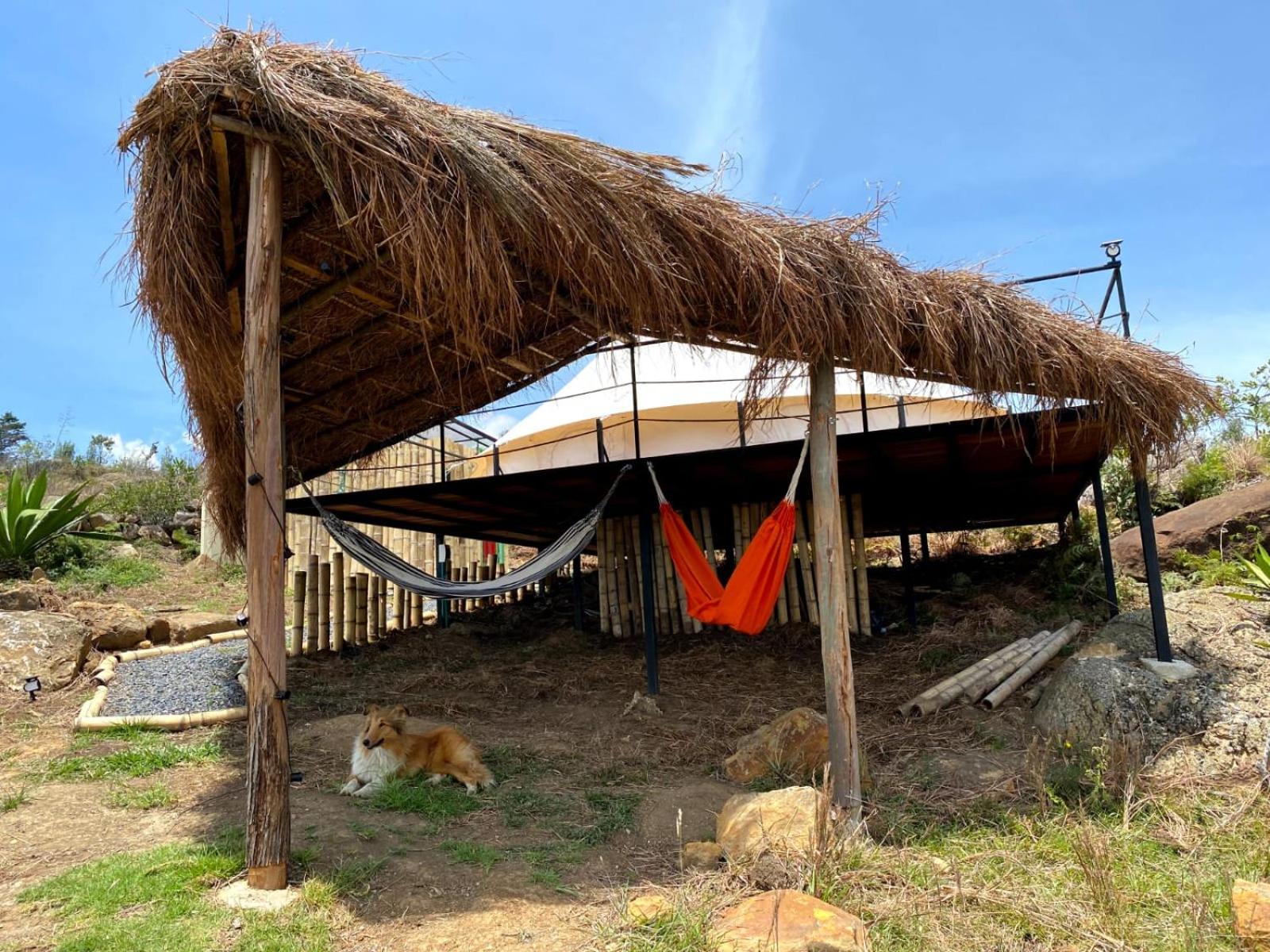 Iraca Glamp