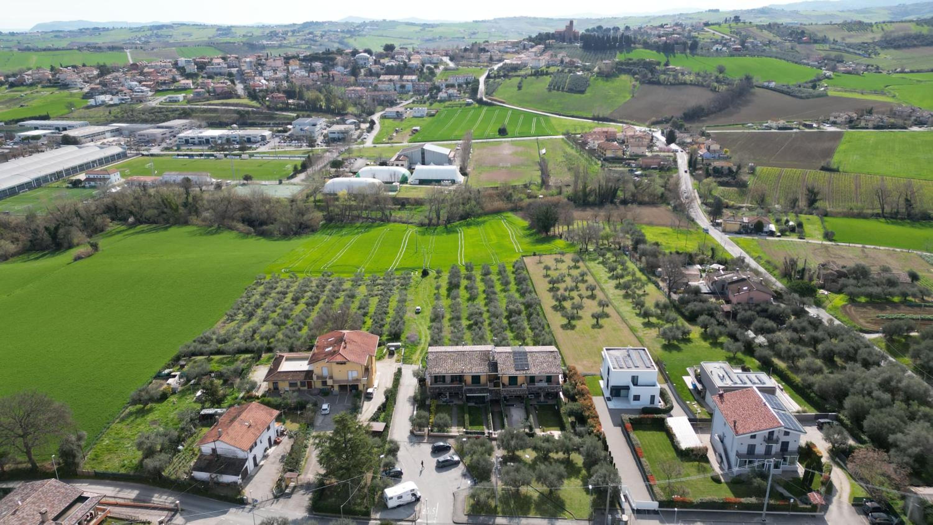 Le dimore degli Ulivi view 4