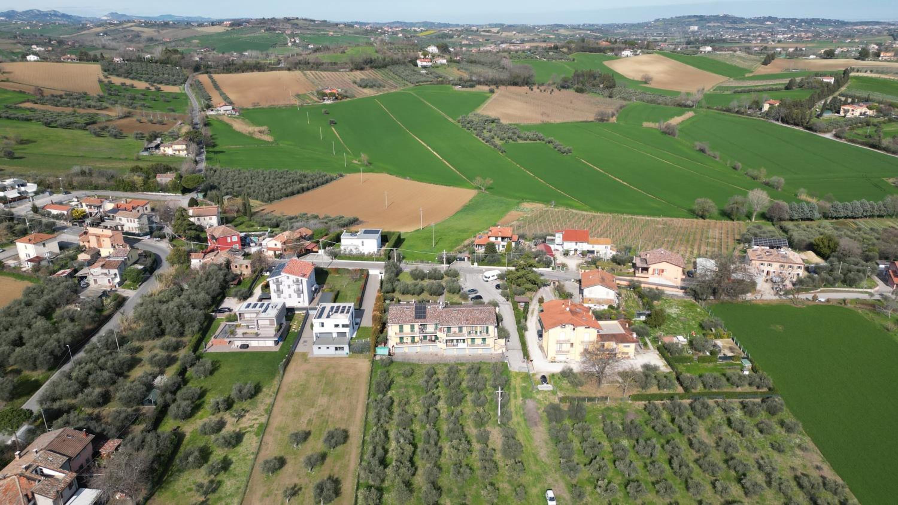 Le dimore degli Ulivi view 3