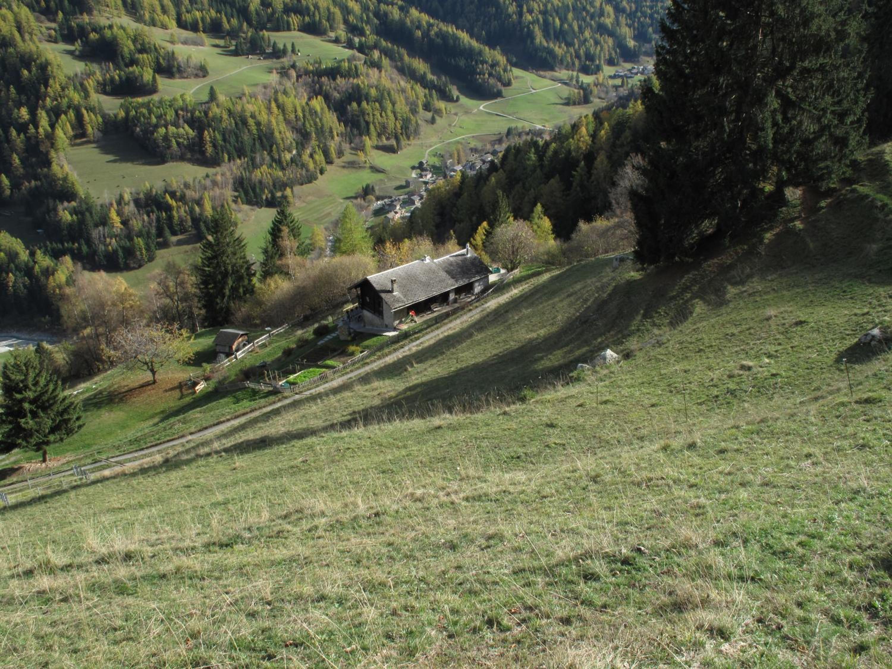 Grand Chalet du Mayen de Planraveire