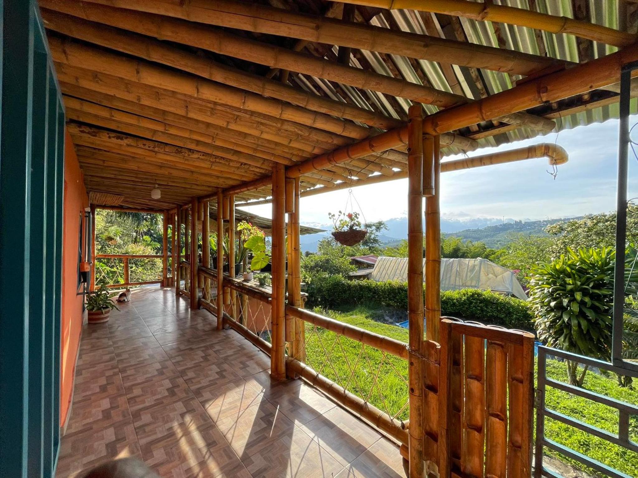 Vista hermosa