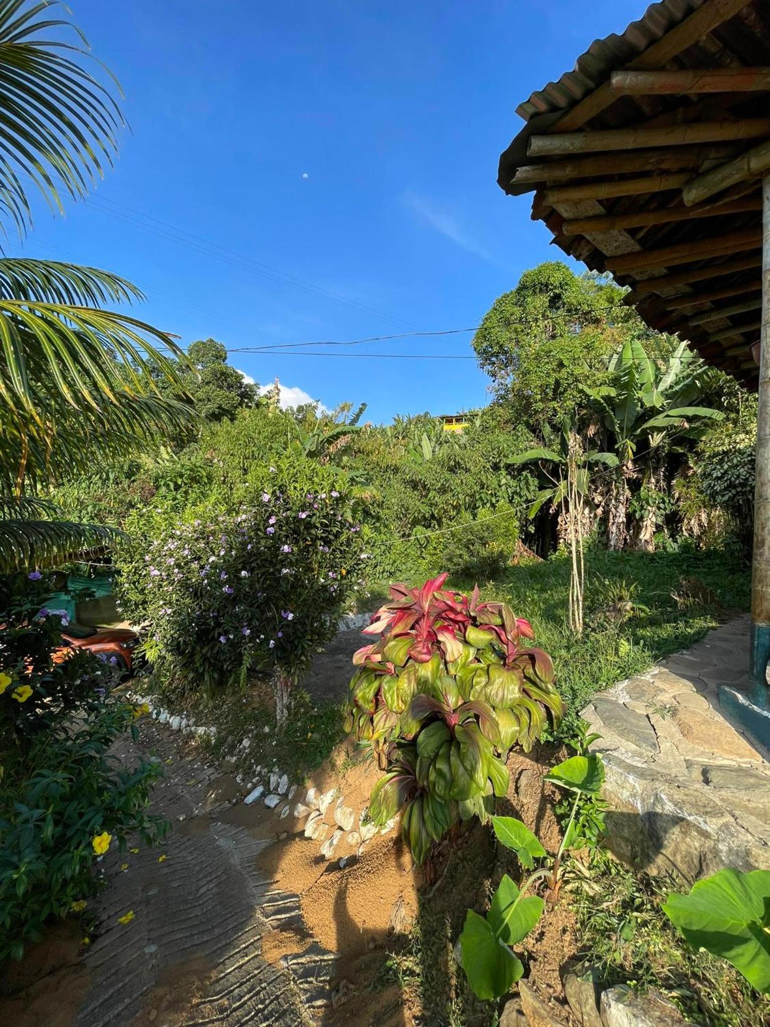 Vista hermosa