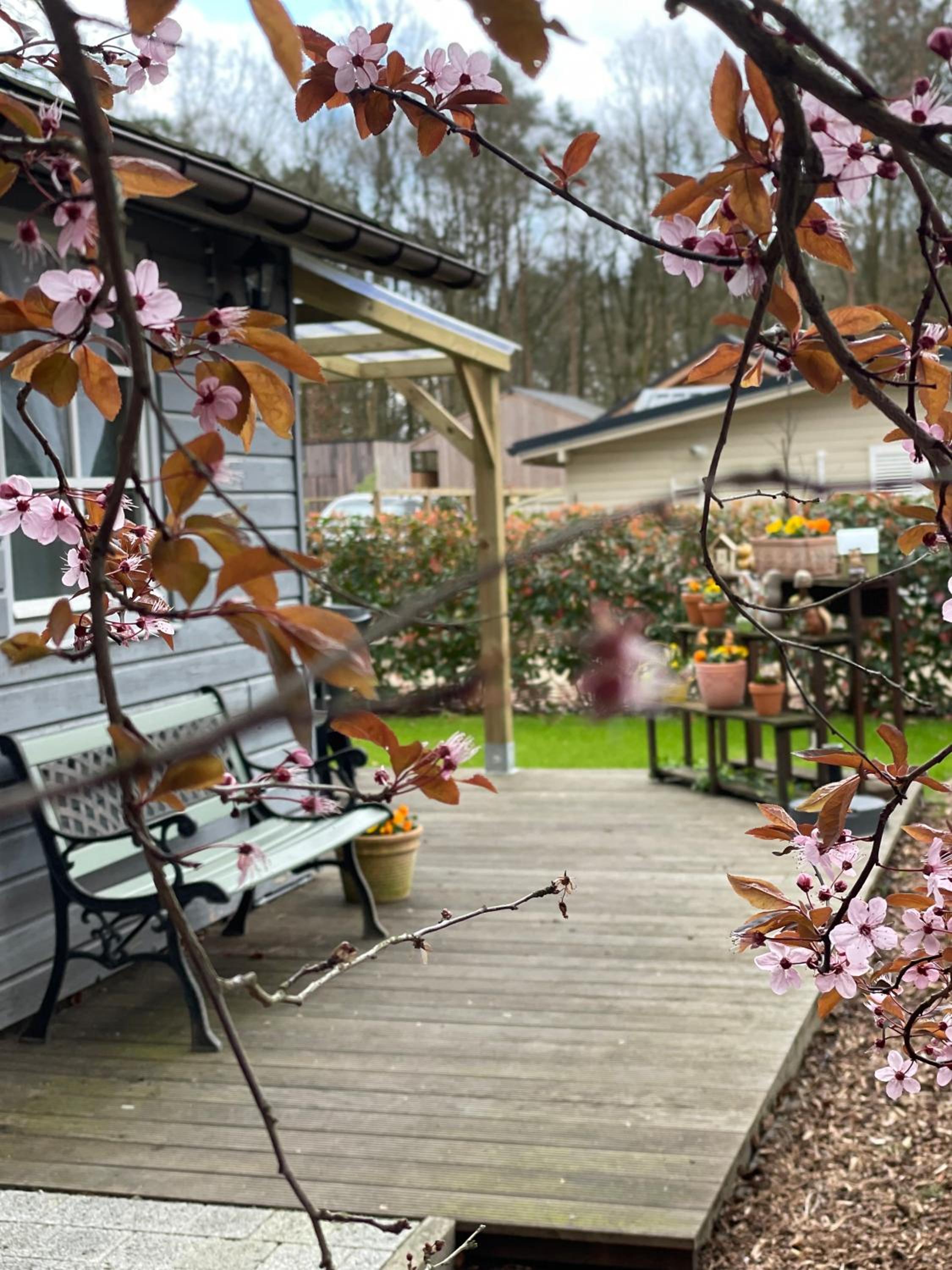 Chalet Sint-Hubertus Du Bois