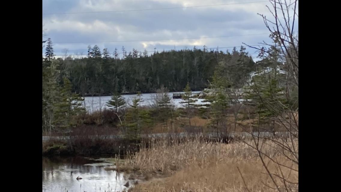 Cape Cod living in Nova Scotia