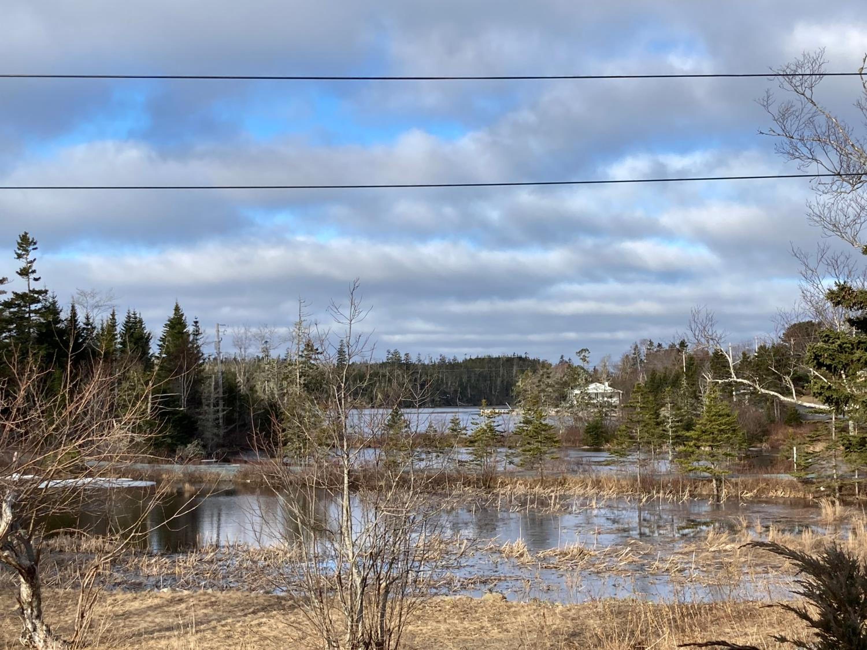 Cape Cod living in Nova Scotia