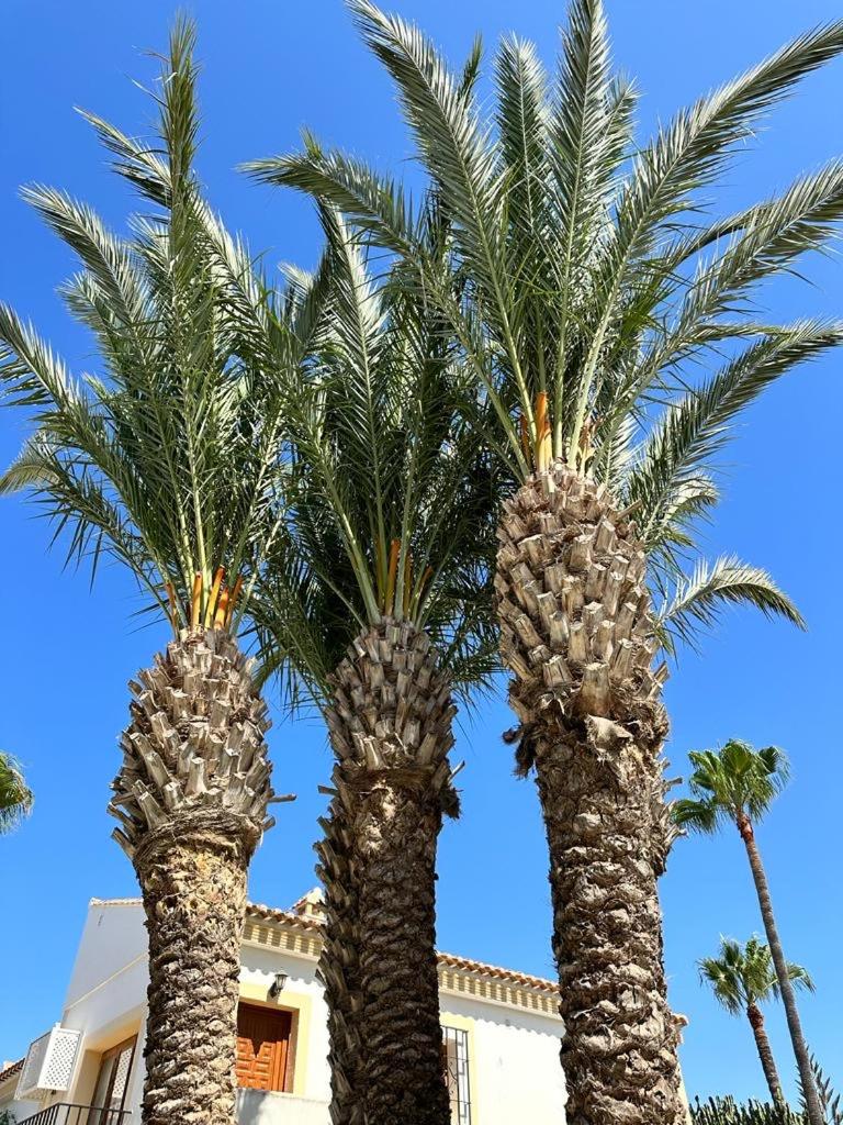 Apartamento Verano Azul