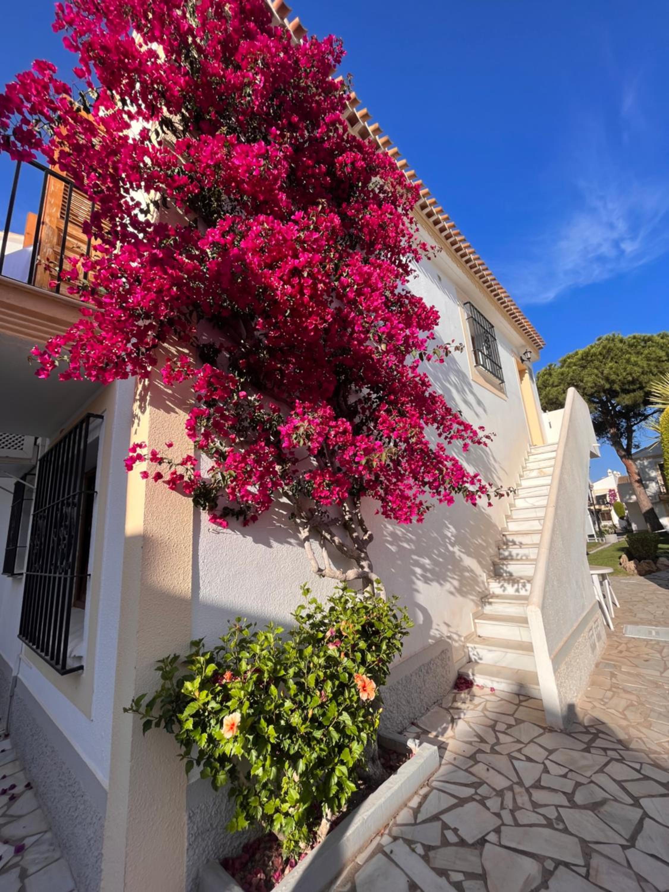 Apartamento Verano Azul