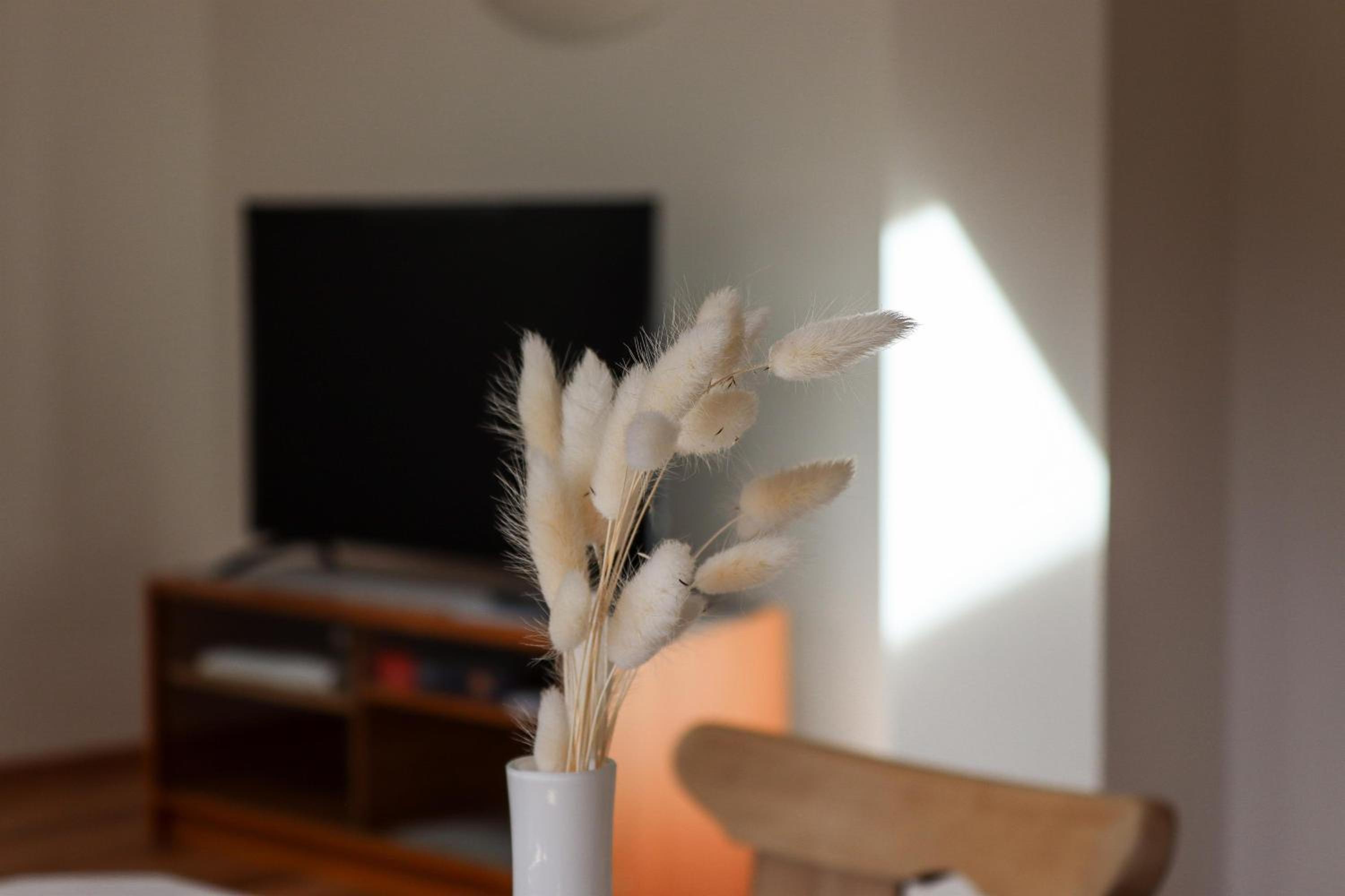 Apartment Vordermitterast