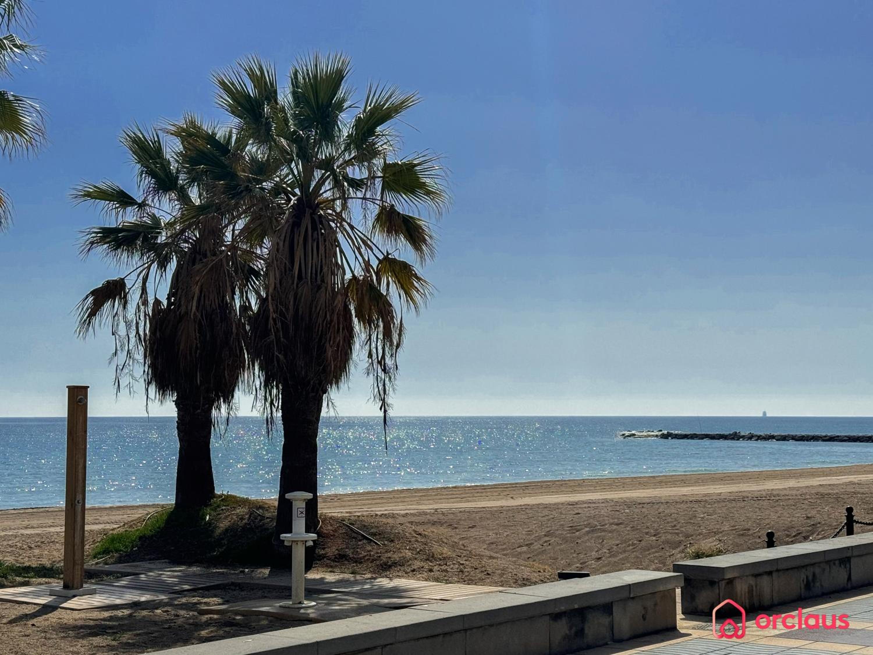 Joya Mediterránea