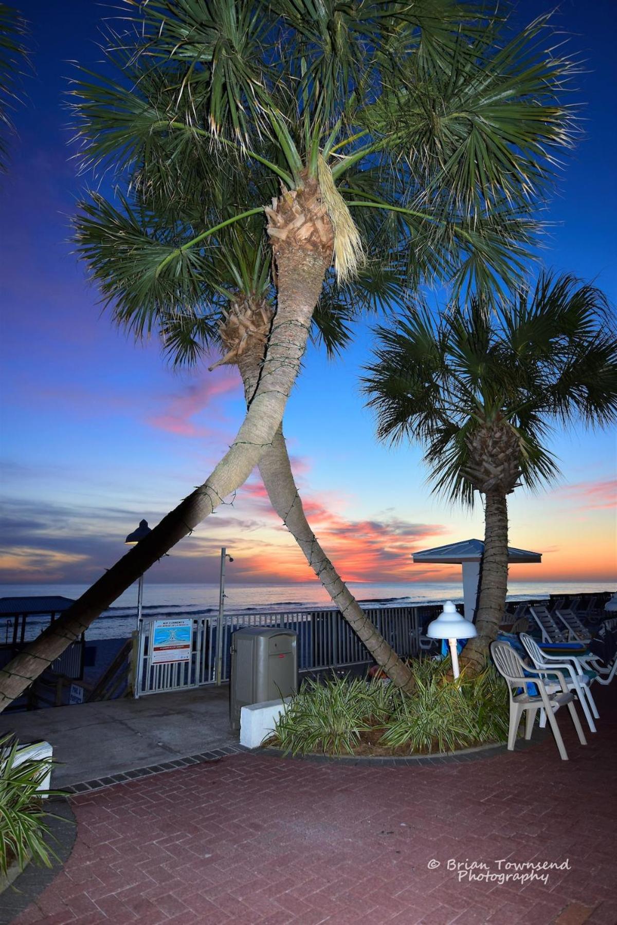 Palmetto Beachfront Hotel, a By The Sea Resort