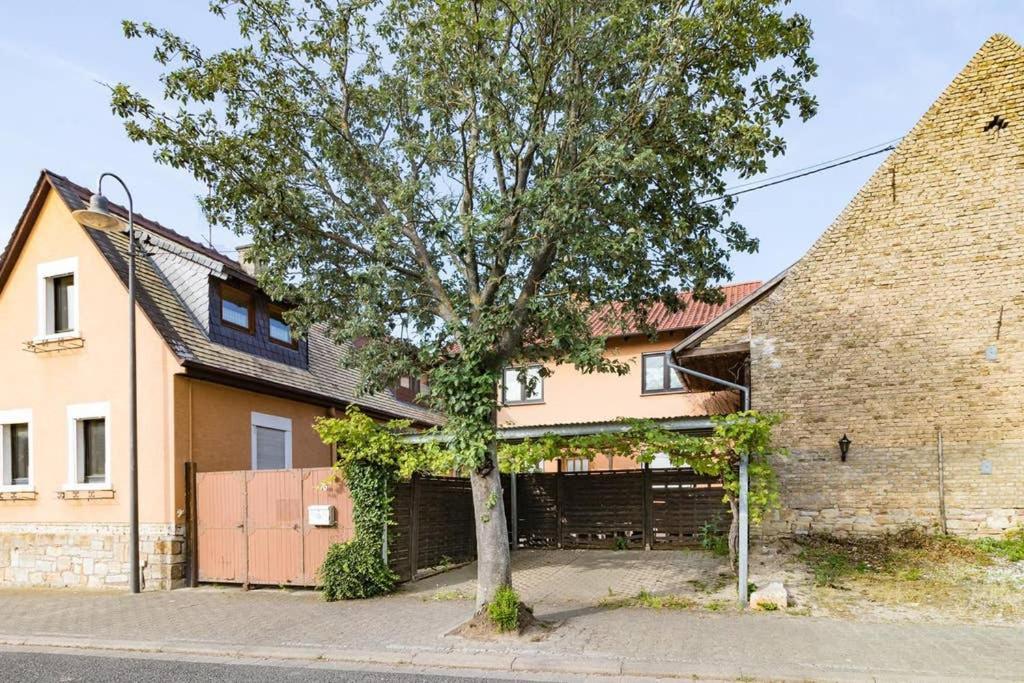 140qm Wohnung für 6 Personen mit 3 x Schlafzimmer view 4