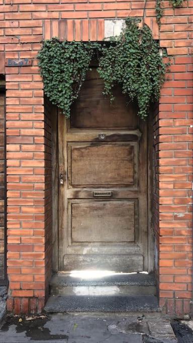 Apartamento con terraza y plantas