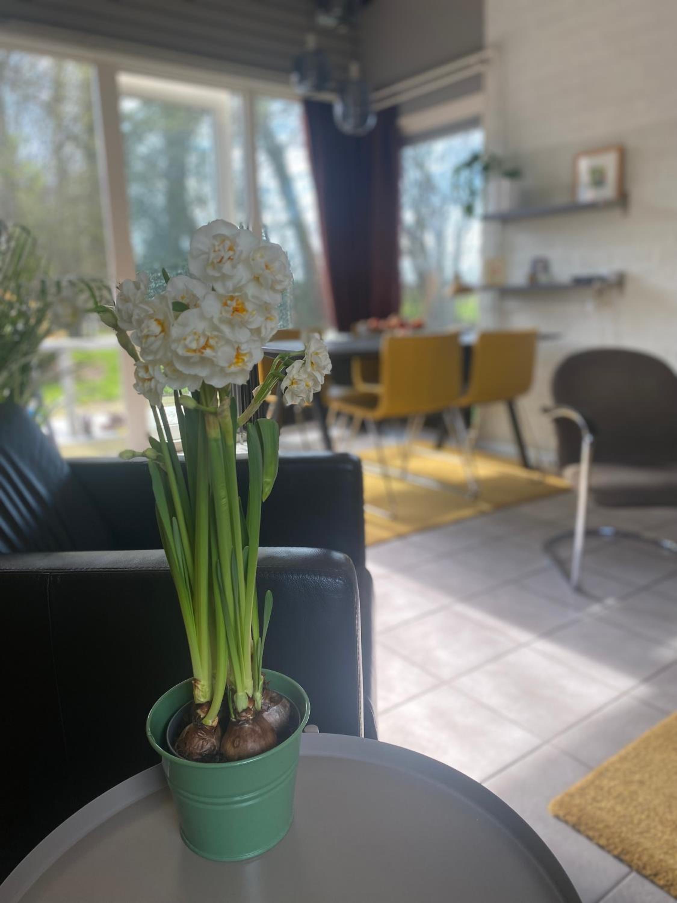 Zuid Limburg Huisje Josefien
