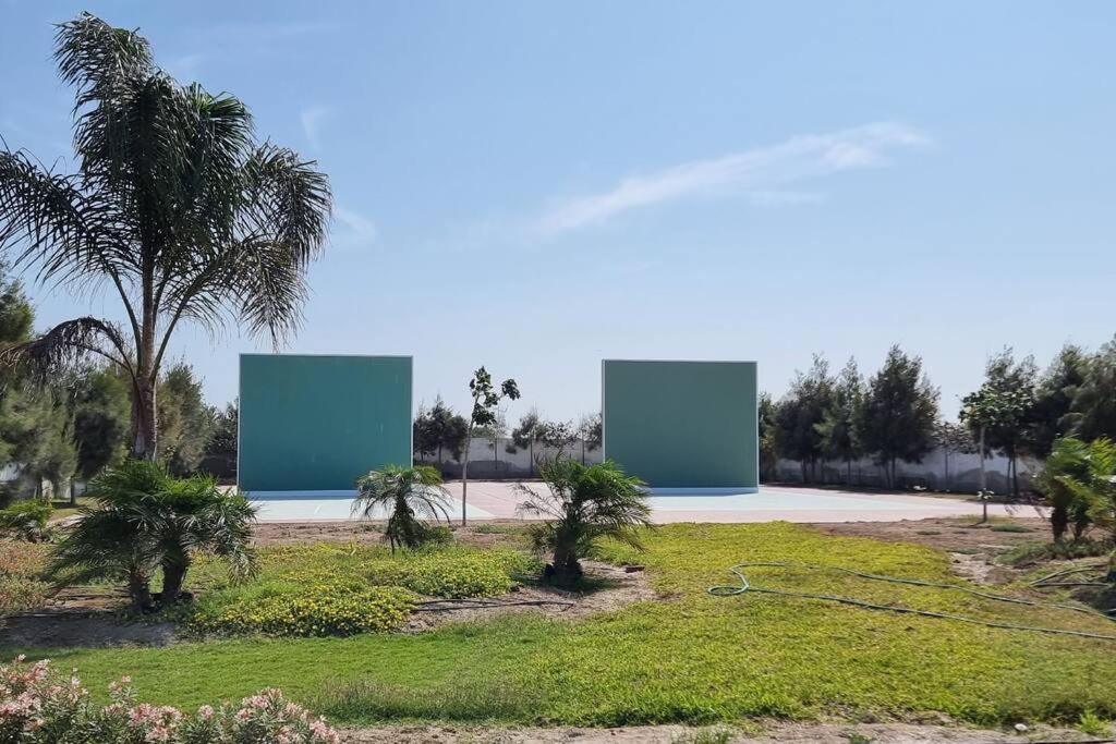 Photo 29