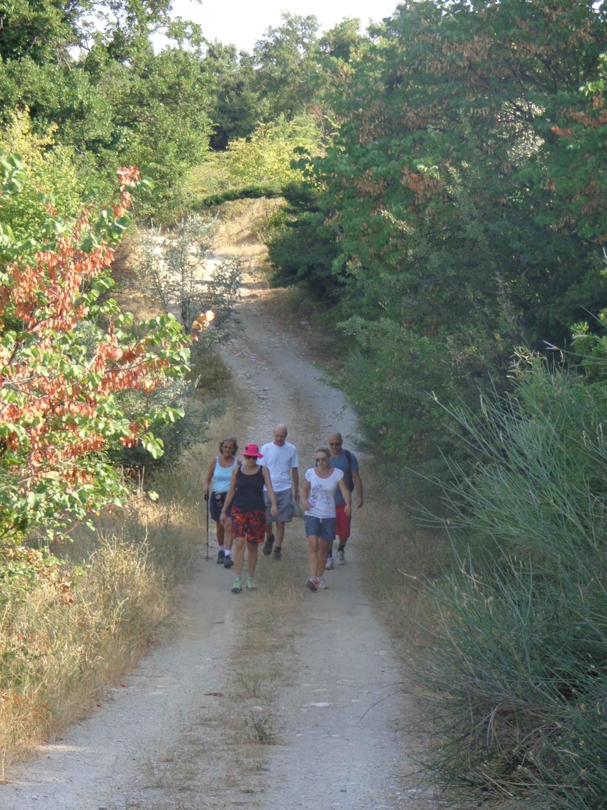 Photo 41