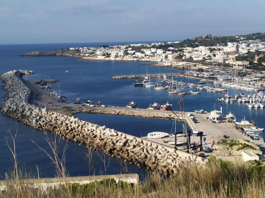 Villetta Municipio