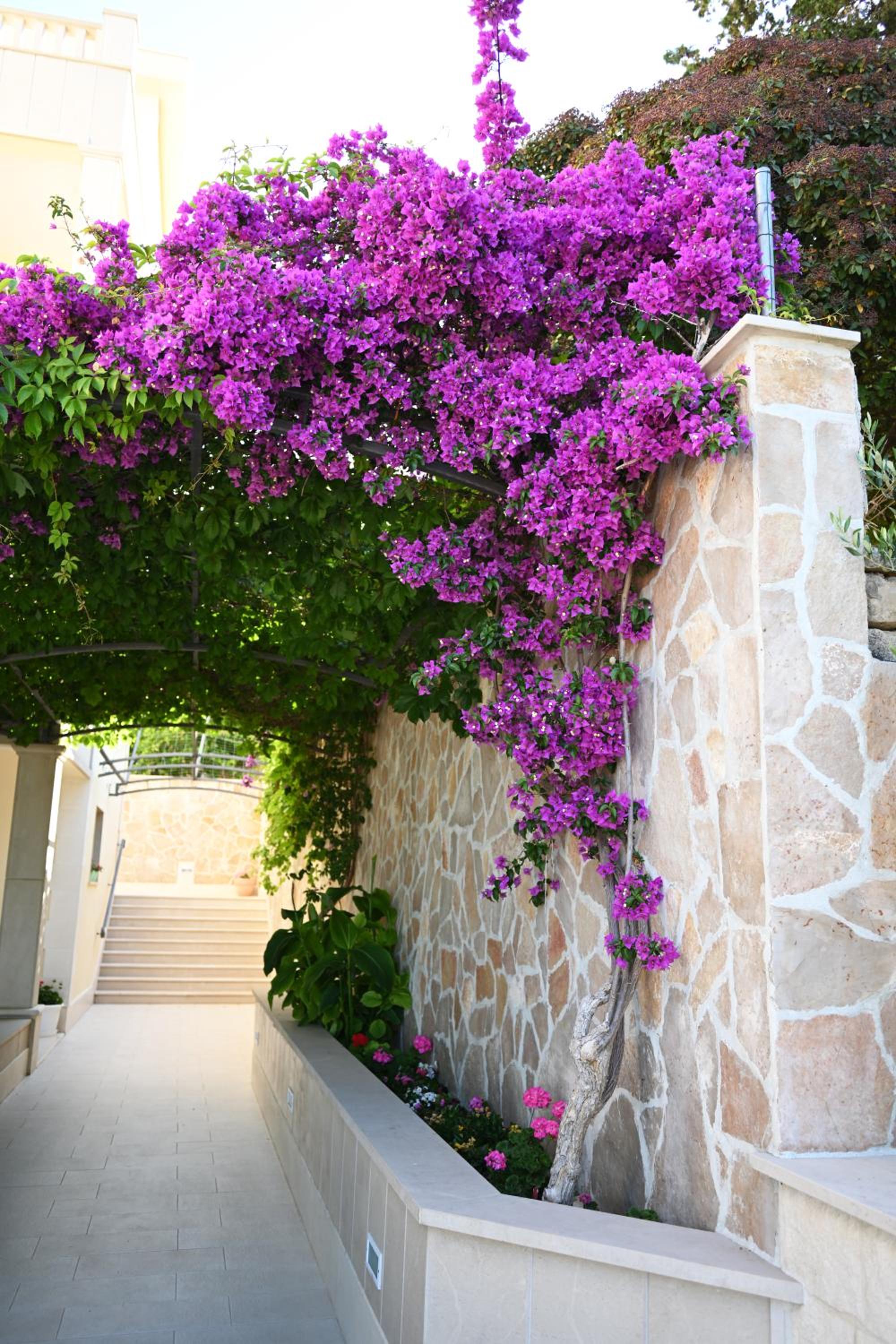 Hvar Villa Malisko Apartments