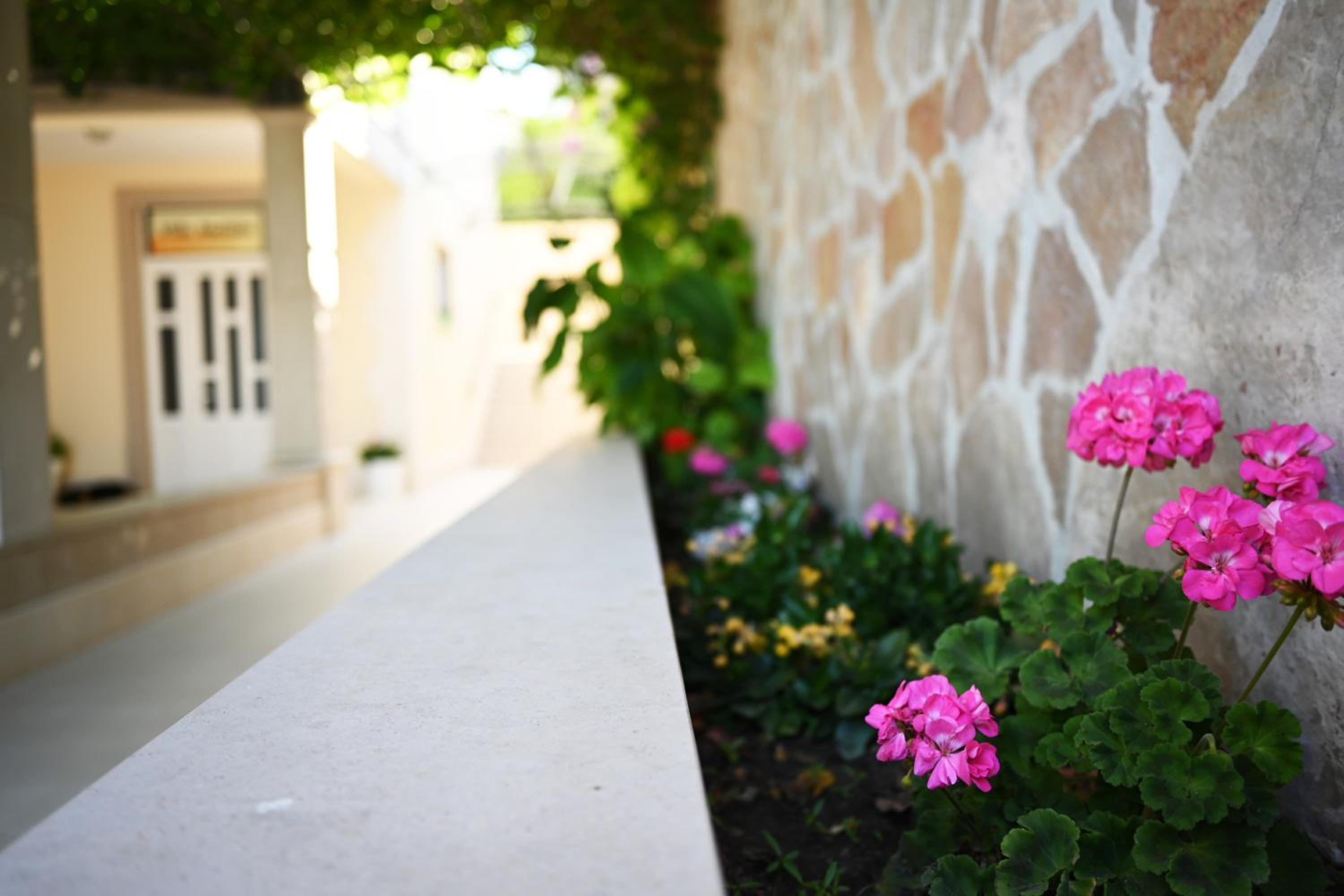 Hvar Villa Malisko Apartments