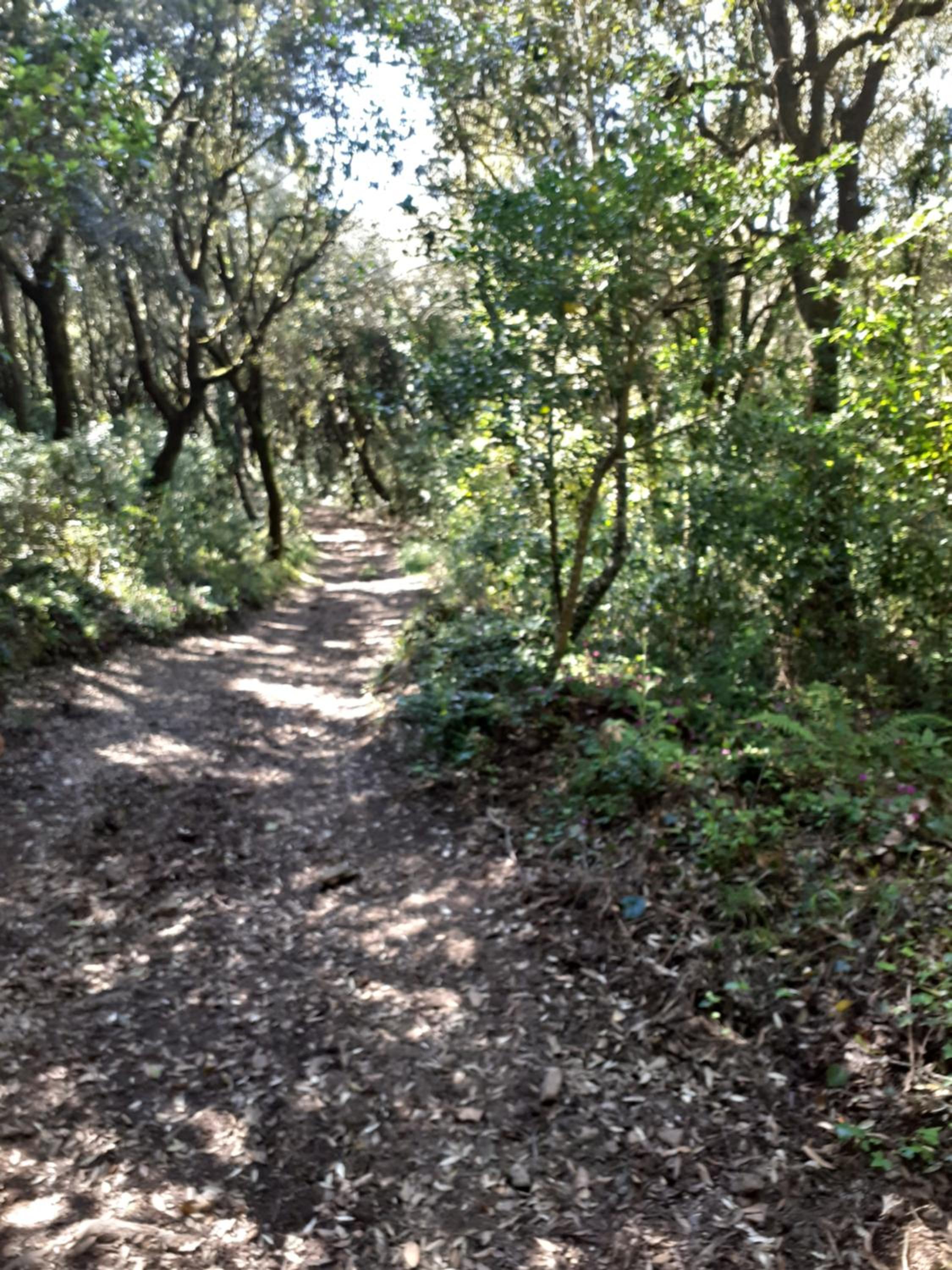 Photo 38