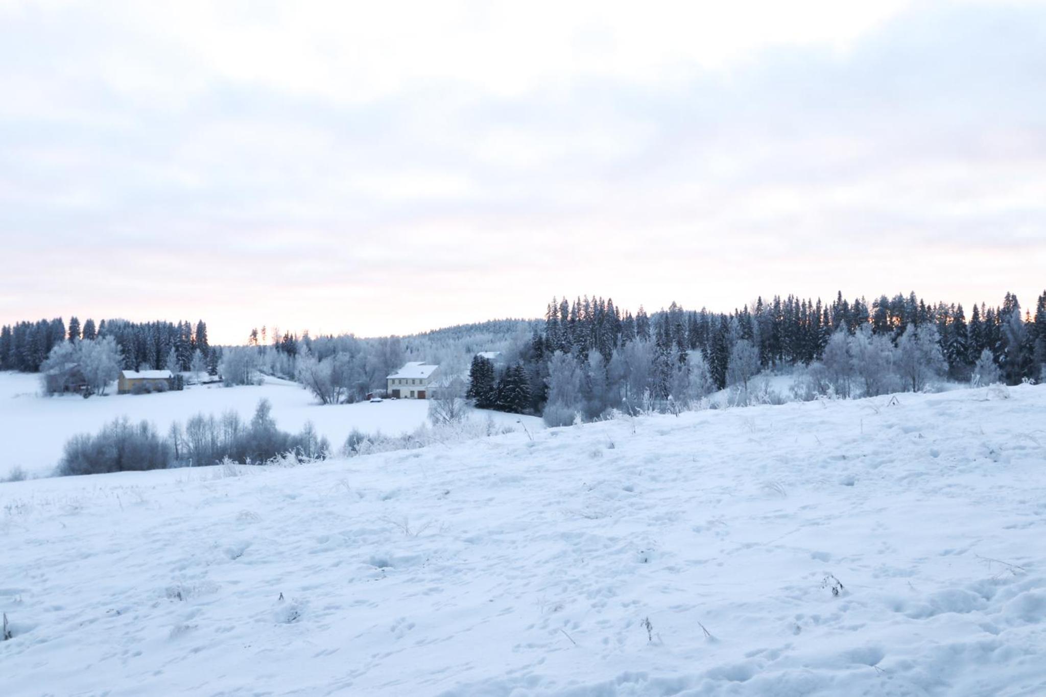 Kopsamonlinna