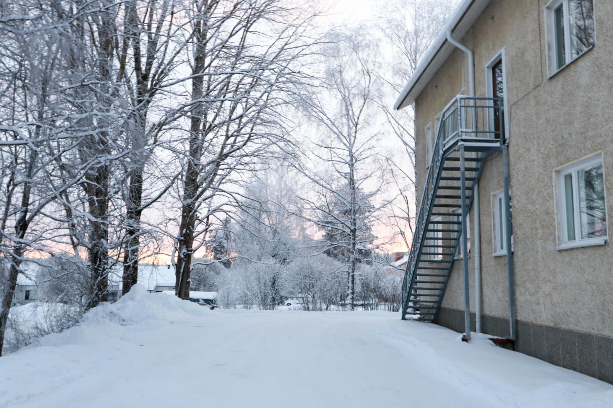 Kopsamonlinna