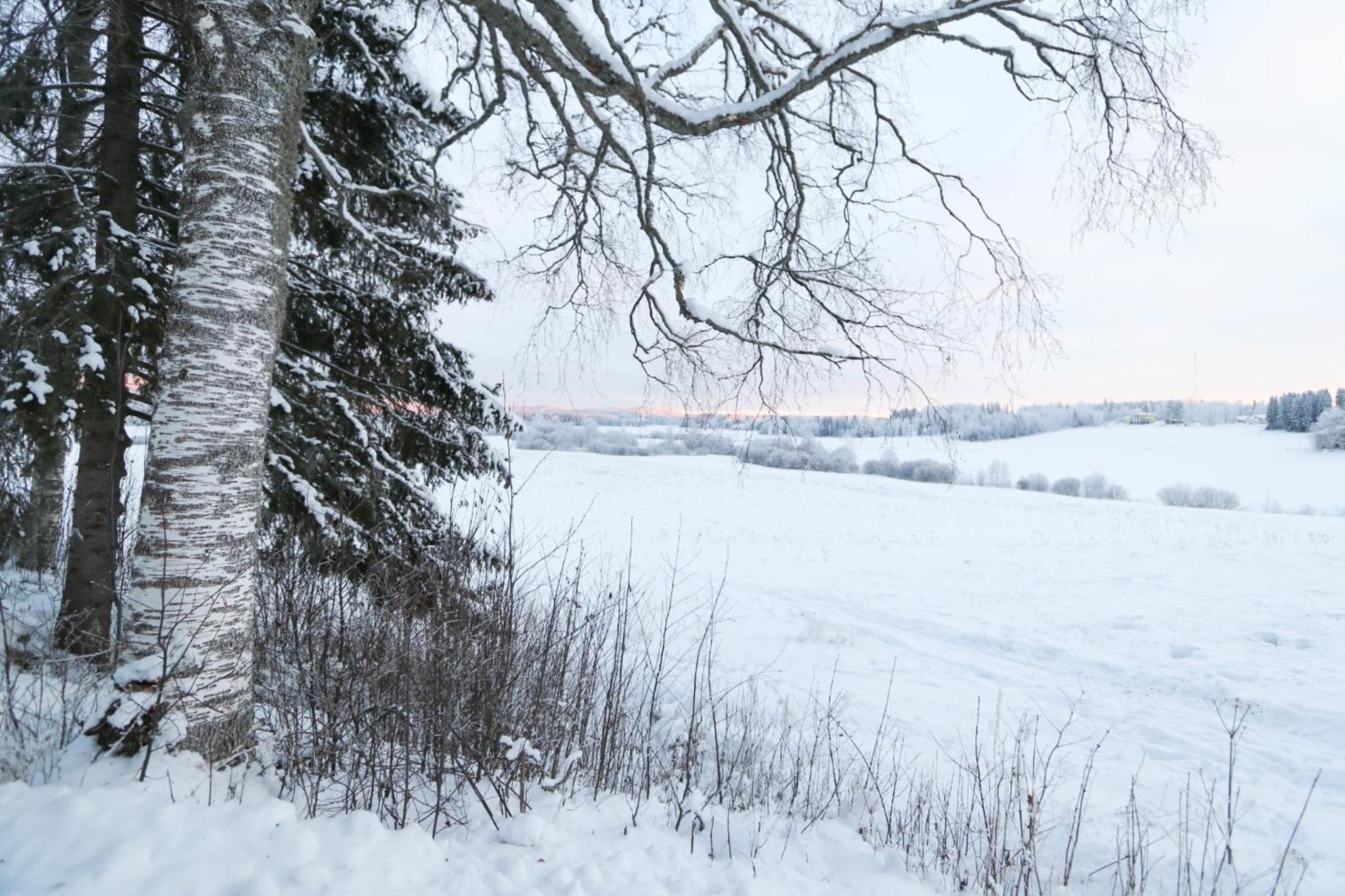 Kopsamonlinna