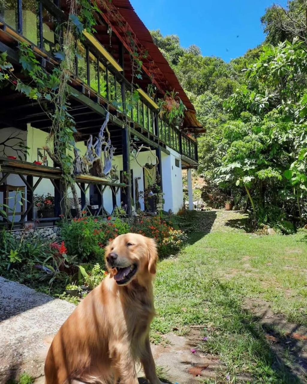 Eco Hostal Tierra de Agua y Fuego