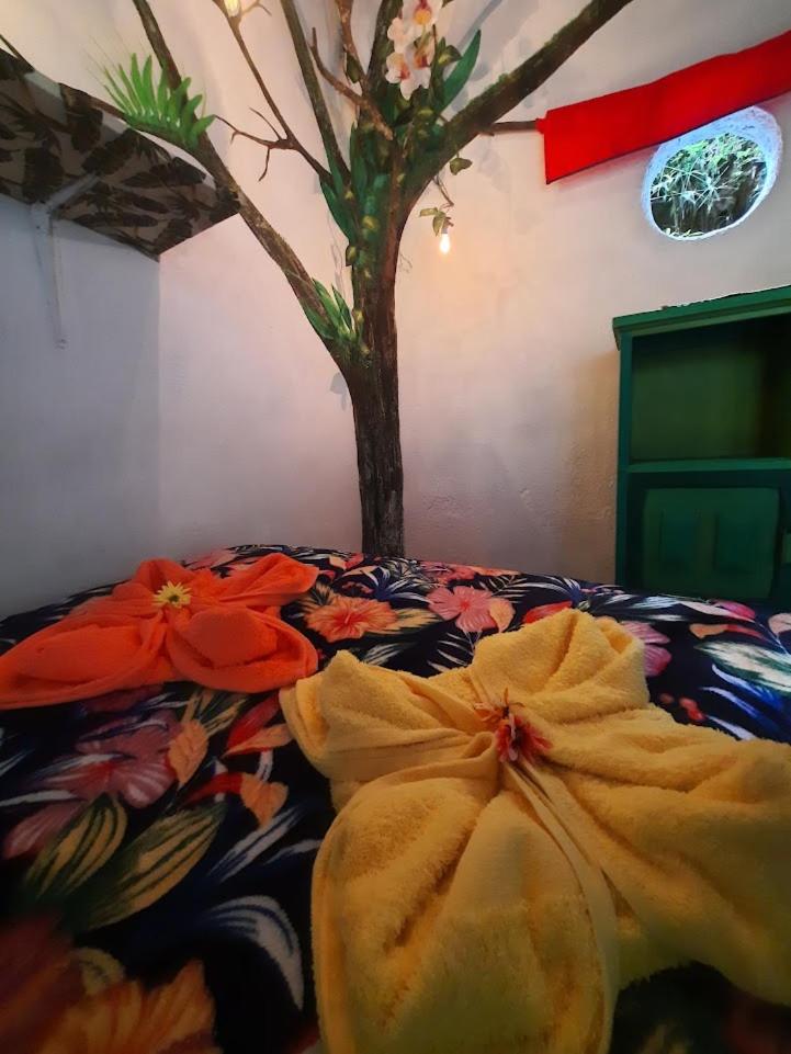 Eco Hostal Tierra de Agua y Fuego