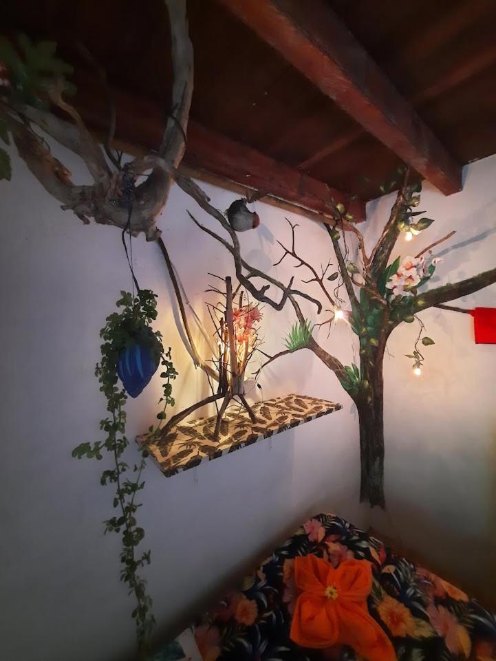 Eco Hostal Tierra de Agua y Fuego
