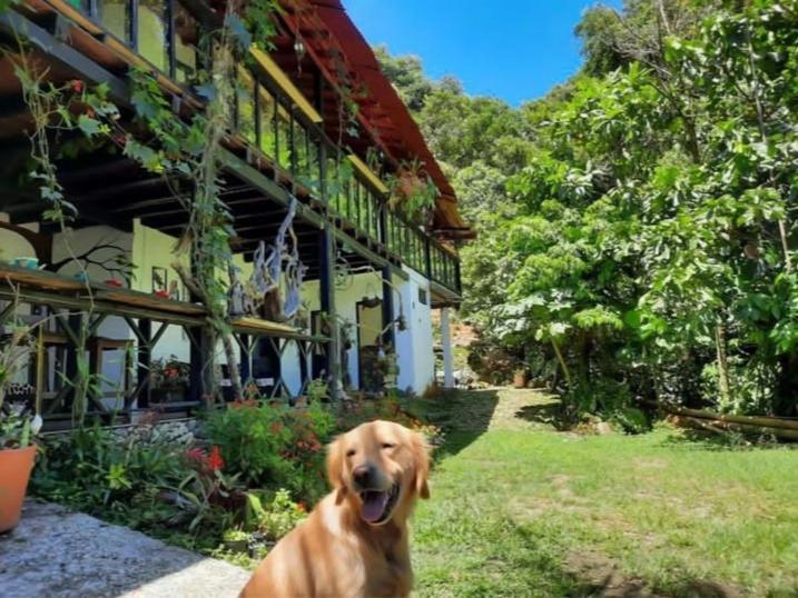 Eco Hostal Tierra de Agua y Fuego