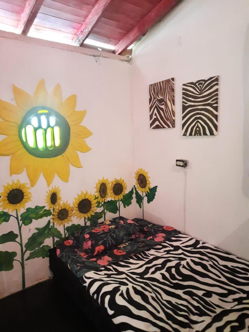 Eco Hostal Tierra de Agua y Fuego