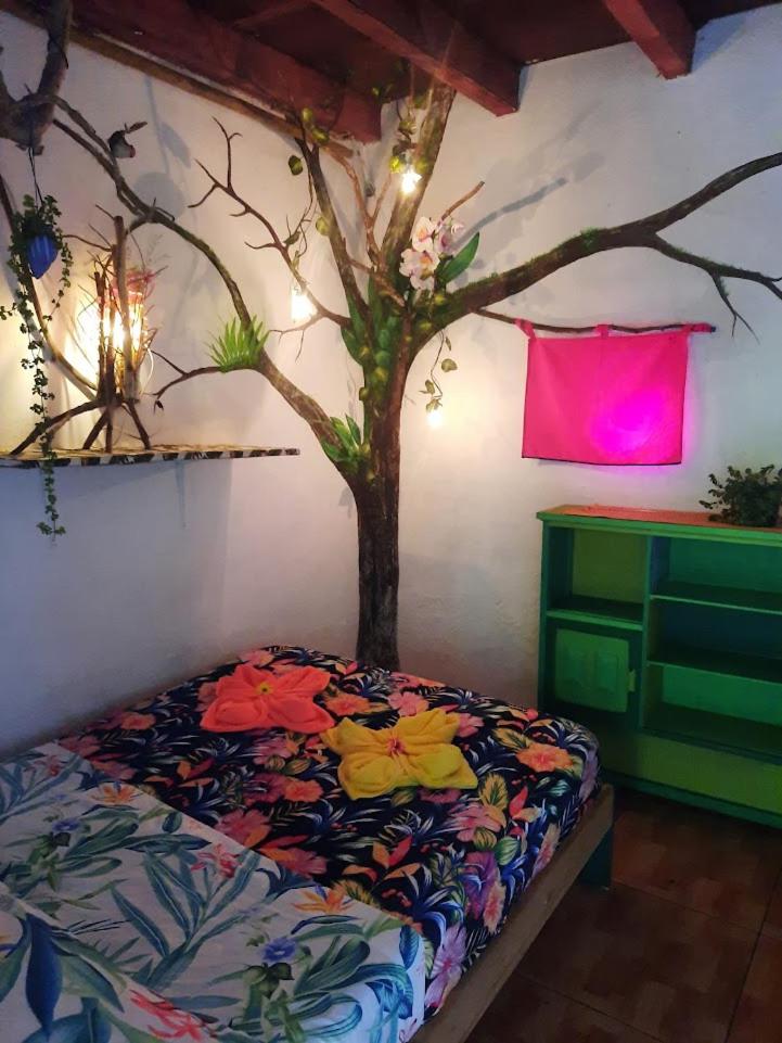 Eco Hostal Tierra de Agua y Fuego
