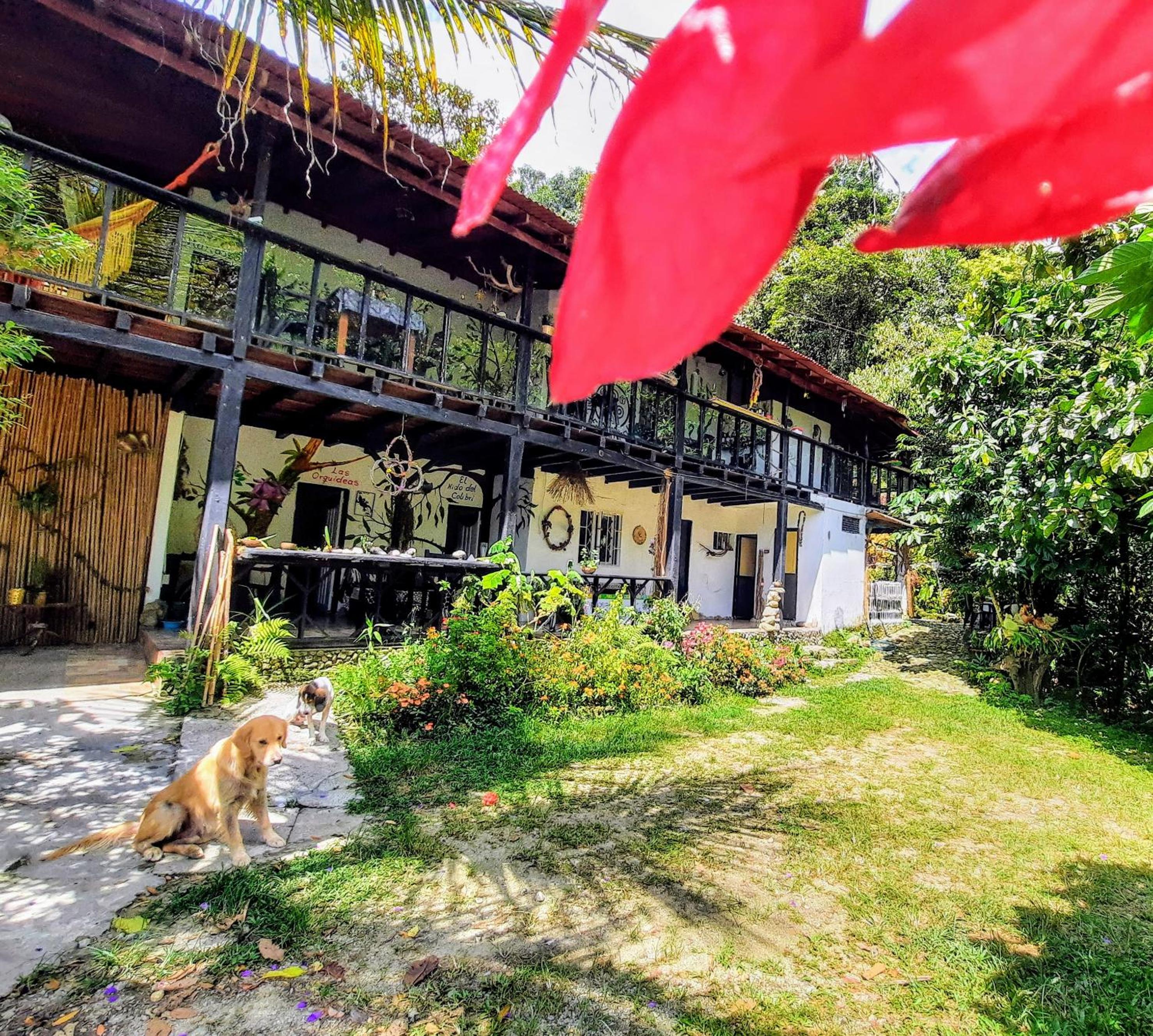 Eco Hostal Tierra de Agua y Fuego