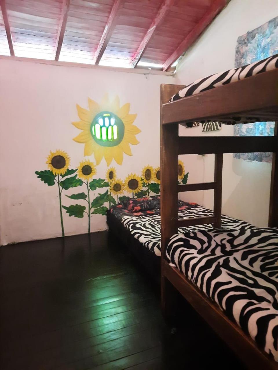 Eco Hostal Tierra de Agua y Fuego