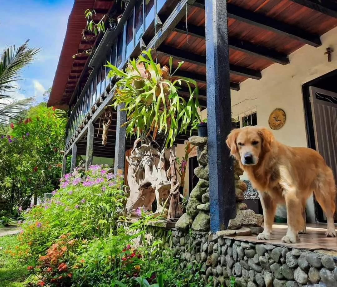 Eco Hostal Tierra de Agua y Fuego