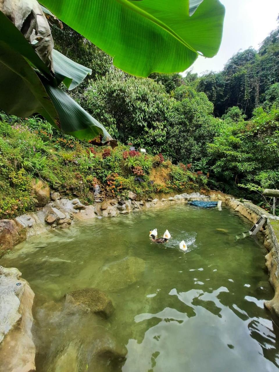 Eco Hostal Tierra de Agua y Fuego