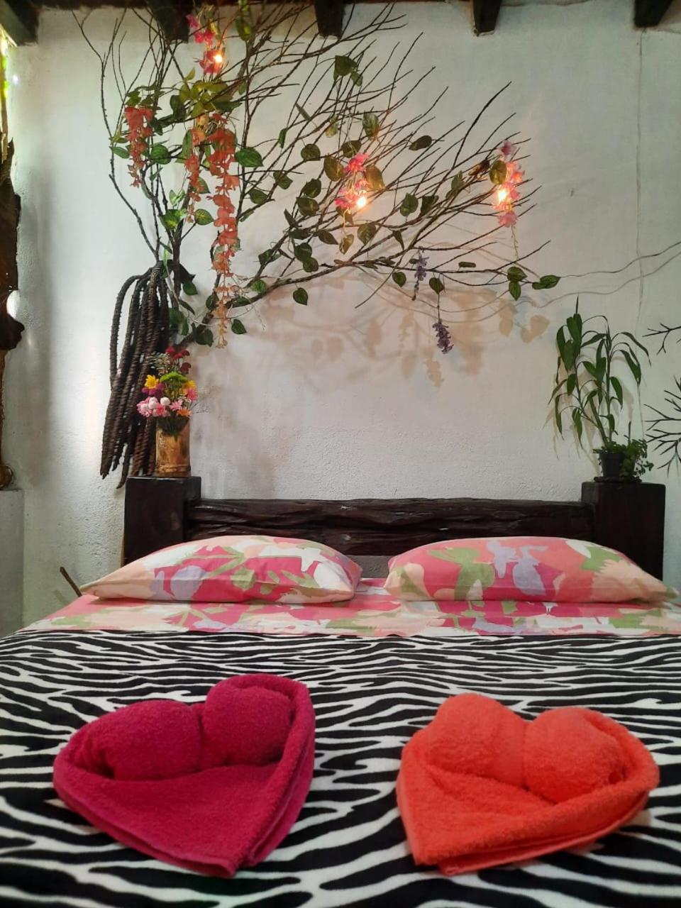 Eco Hostal Tierra de Agua y Fuego