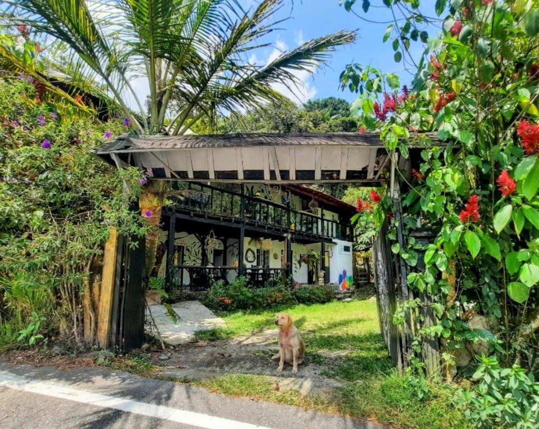 Eco Hostal Tierra de Agua y Fuego