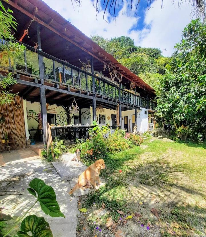 Eco Hostal Tierra de Agua y Fuego