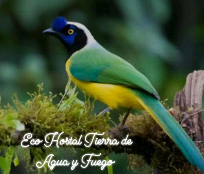 Eco Hostal Tierra de Agua y Fuego