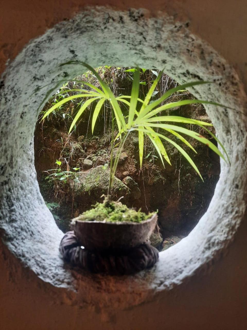 Eco Hostal Tierra de Agua y Fuego